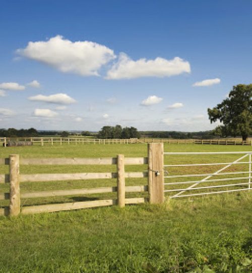 field of grass with tree fence and gate
